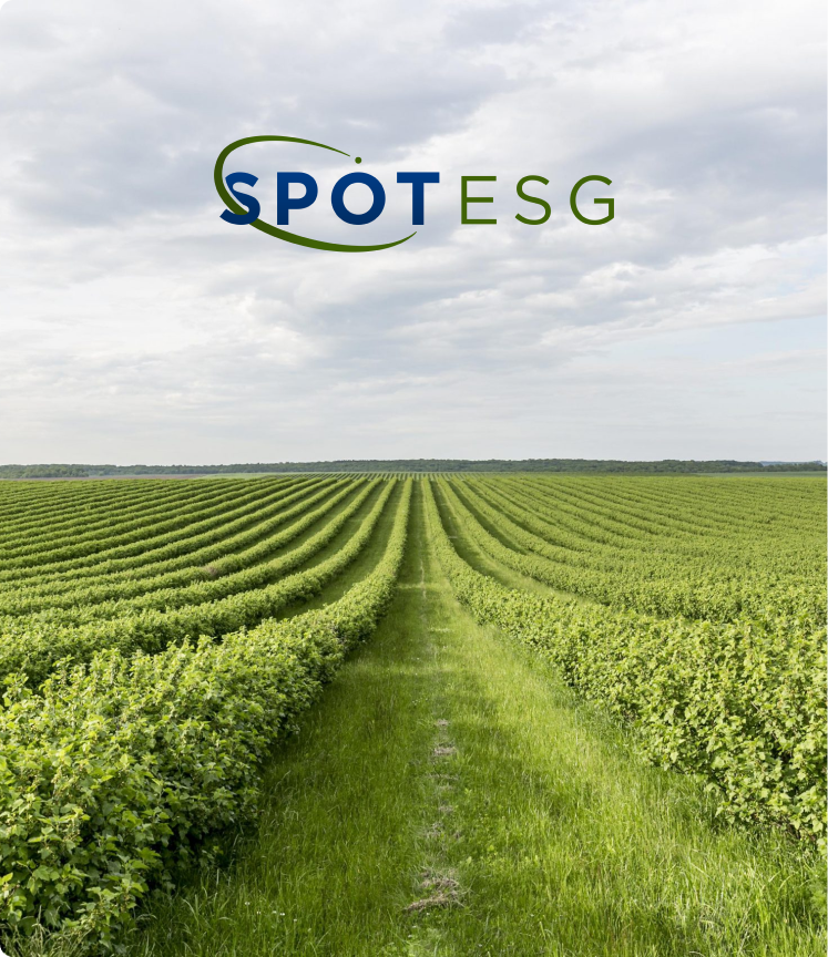 Fundo de natureza verde com a logo SpotESG.