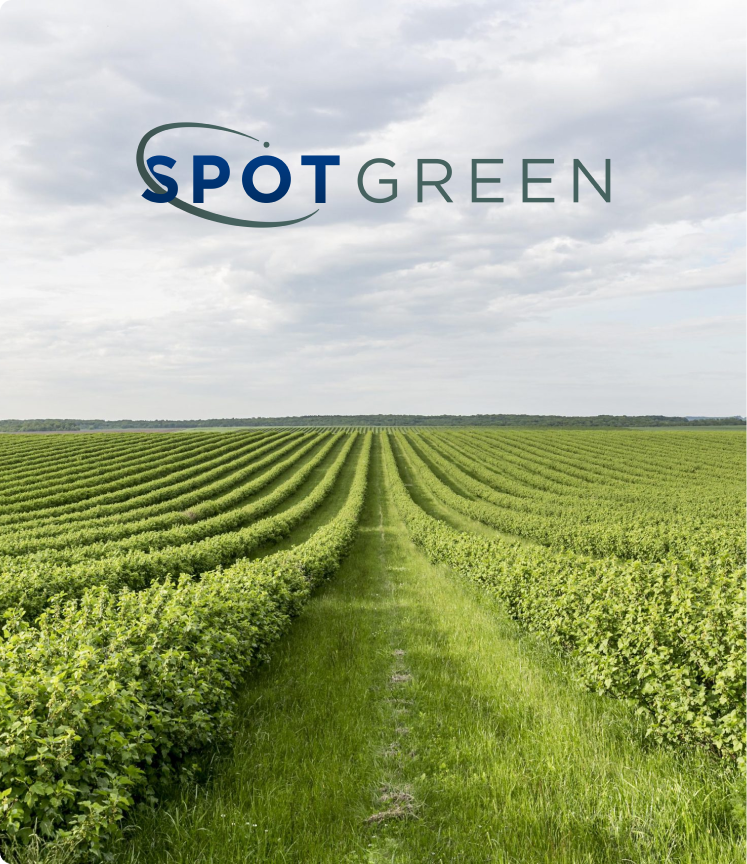 Fundo de natureza verde com a logo SpotGREEN.