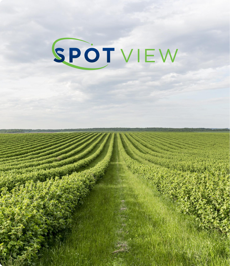 Fundo de natureza verde com a logo SpotVIEW.